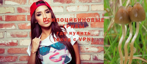 mdpv Аркадак